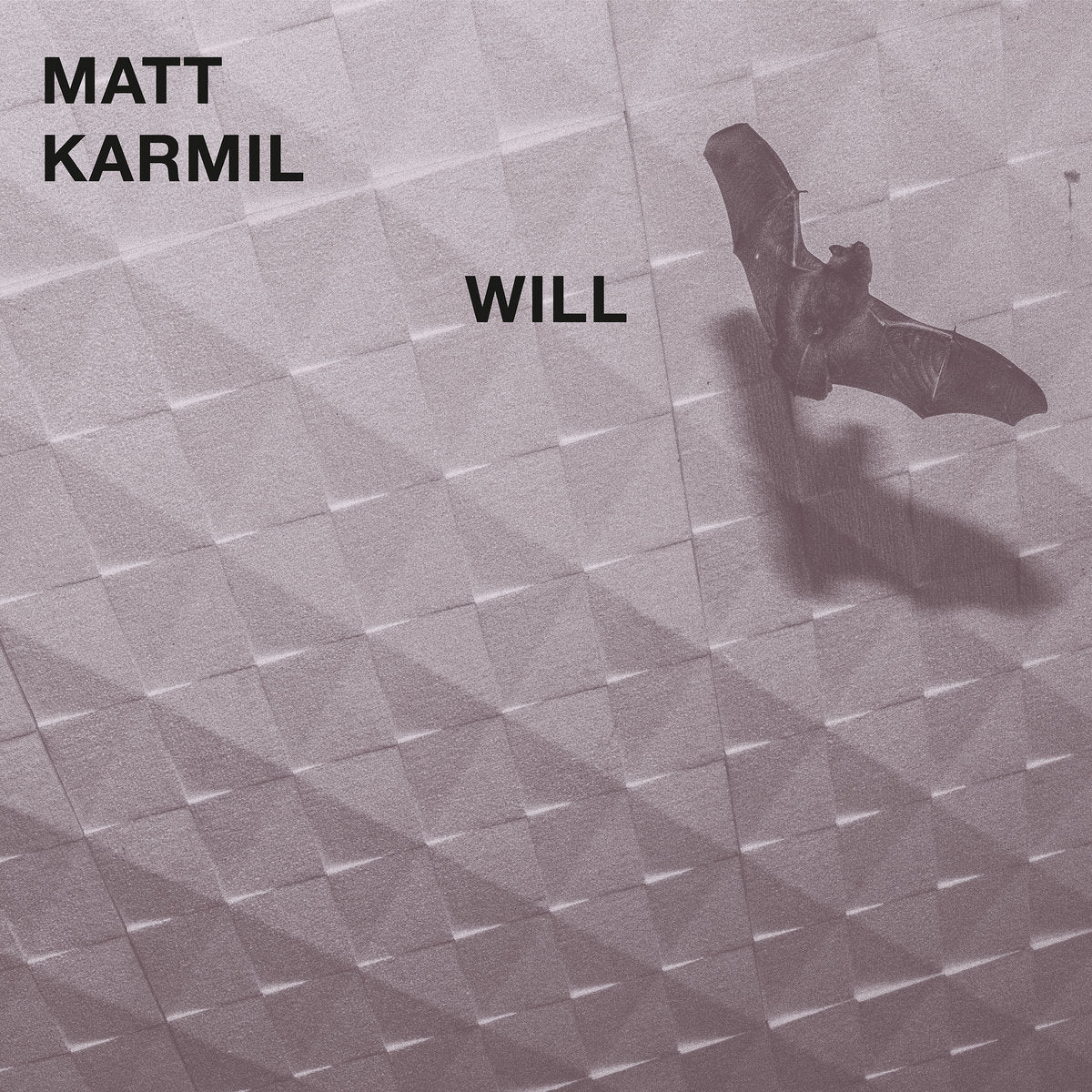 Matt Karmil: Will