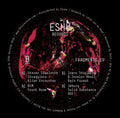 Various Artists: Fragments