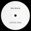 Donato Dozzy / Eric Cloutier: Palinoia Ltd 001