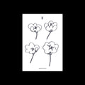 Lawrence: Poppies